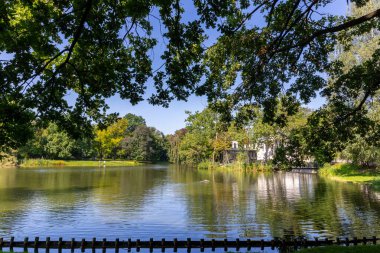 Varşova Kraliyet Hamamları Parkı (Lazienki Krolewskie), göl manzarası, ağaç dalları ve yaprakları, suda yansımalar, Polonya.