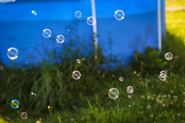 Rainbow bubbles floating in the garden park. Summer positive playful background.