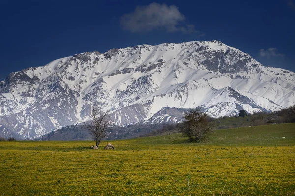 Mountain Chimgan — Stock Photo, Image