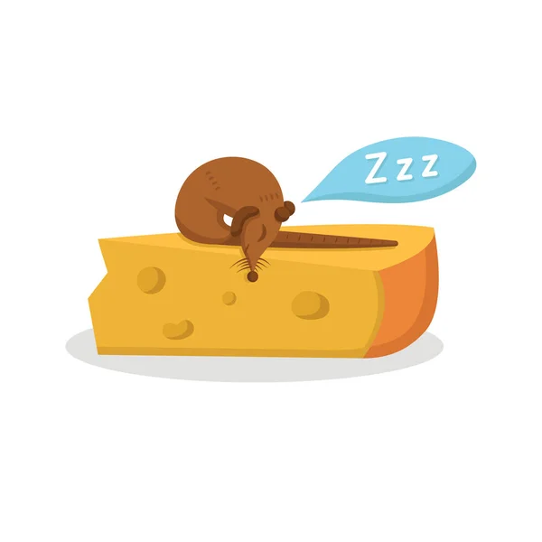 Fare beyaz arka planda büyük bir peynir parçasının üzerinde uyuyor.
