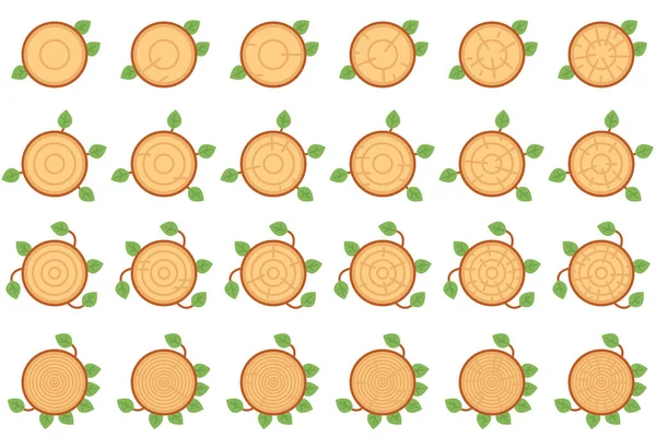 Yaprakları beyaz arkaplanda izole edilmiş ağaç halkaları dizisi