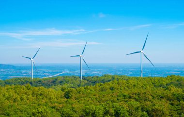 Ormanın ortasına elektrik üretmek için büyük bir rüzgar türbini yerleştirildi..