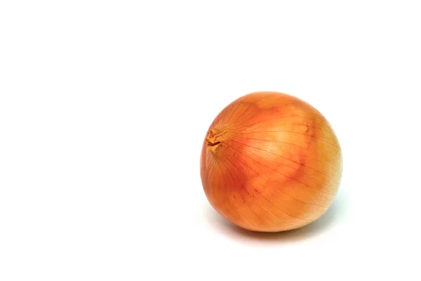 Onion White Background — Stock Photo, Image
