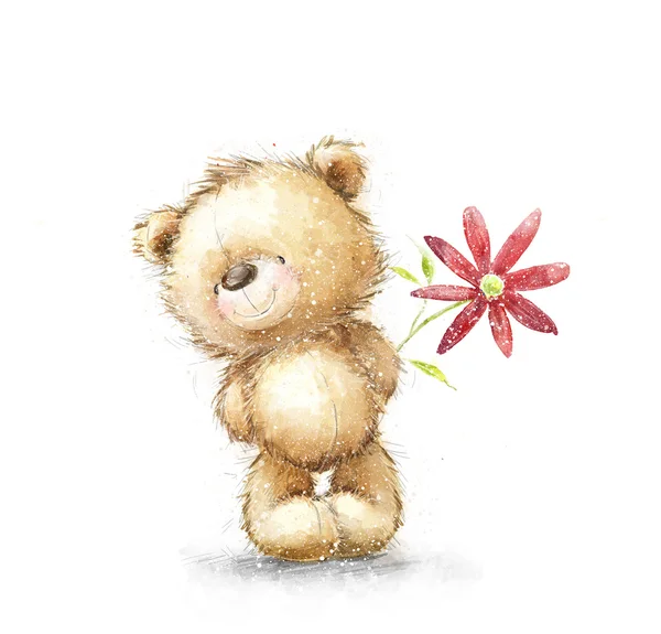 Lindo oso de peluche con la flor roja. Fondo con oso y flores. Osito de peluche dibujado a mano aislado sobre fondo blanco.Tarjeta de felicitación de San Valentín. Diseño de amor. Te amo. Tarjeta de felicitación de cumpleaños . —  Fotos de Stock