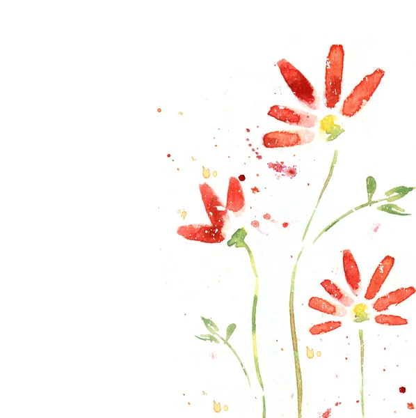 Güzel yaz kırmızı çiçek, suluboya resim. çiçek background. suluboya çiçek seamless modeli. — Stok fotoğraf