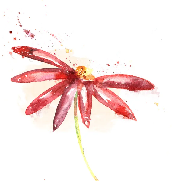 美しい夏の赤い花、水彩イラスト。花の背景。水彩花柄シームレス. — ストック写真