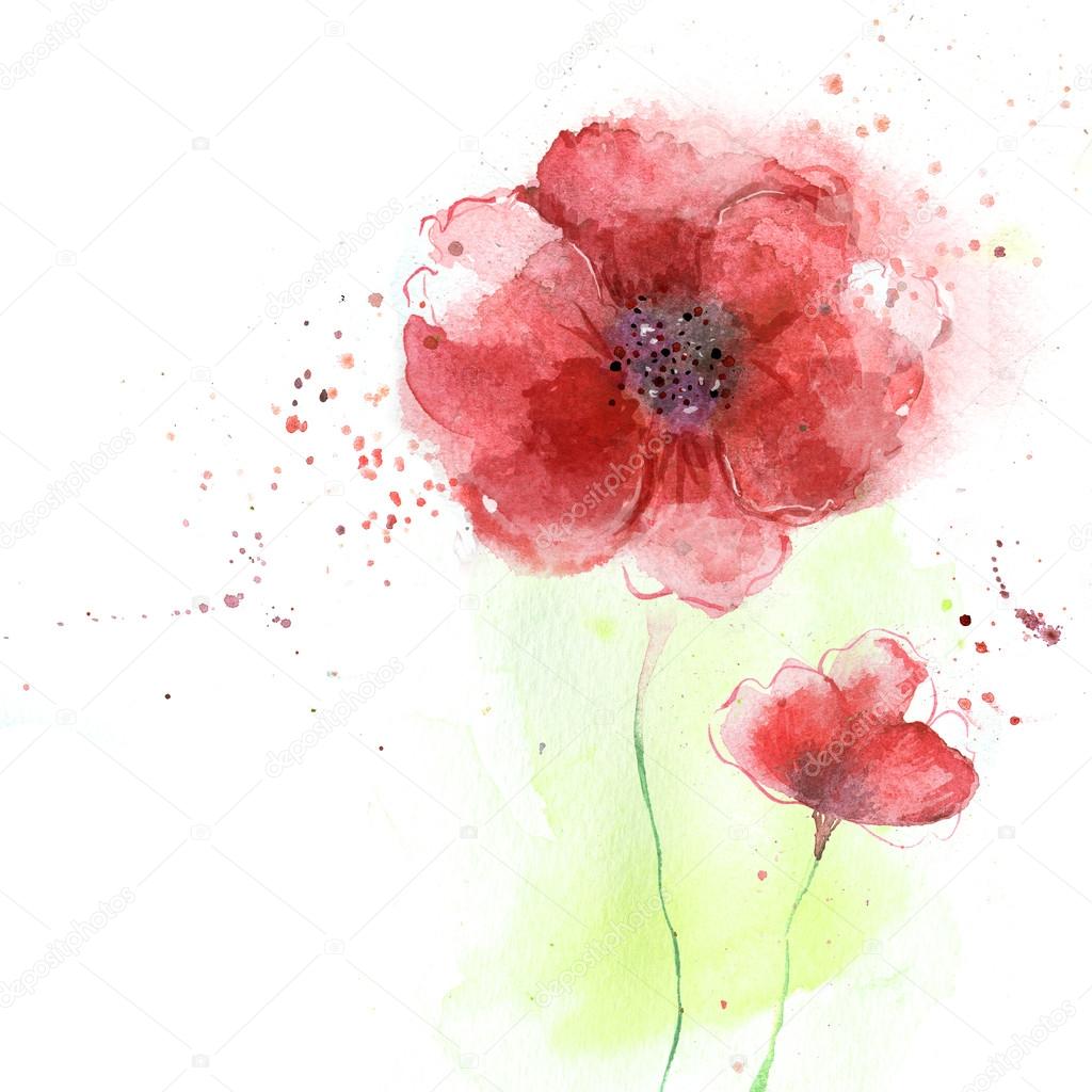 Stylized Poppy flowers illustration.Beautiful summer red flowers, watercolor illustration. Floral background. Watercolor floral seamless pattern.