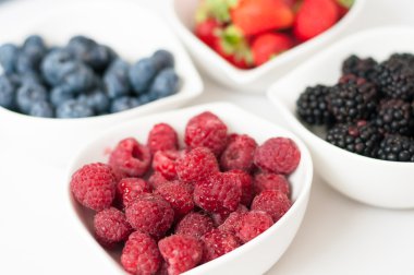 yaban mersini ahududu çilek böğürtlen