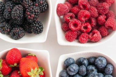 yaban mersini ahududu çilek böğürtlen