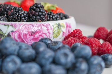 yaban mersini ahududu çilek böğürtlen