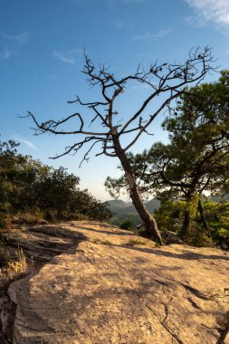 Yumuşak ışığı olan güzel İspanyol dağ manzarası