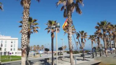 İspanya 'da palmiye ağaçları ile güzel bir gezinti alanı