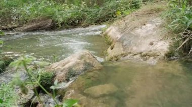 Küçük bir nehirde akan su manzarası, kayalar, çimenler.