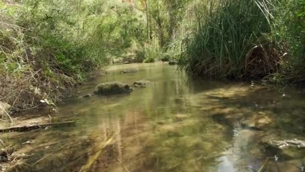 Vue de l'eau courante dans une petite rivière — Video