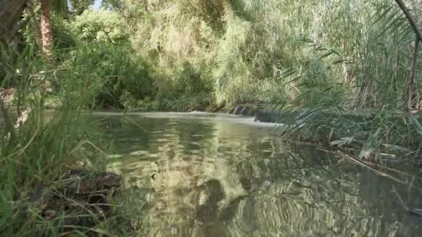 Vue de l'eau courante dans une petite rivière — Video
