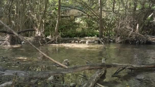Vue de l'eau courante dans une petite rivière — Video