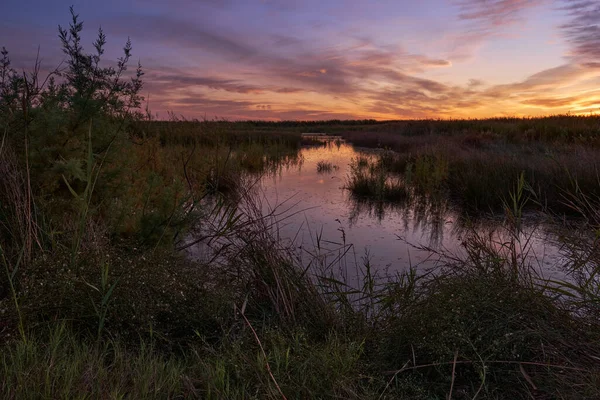 Magical sunset on the lake — Stock Photo, Image