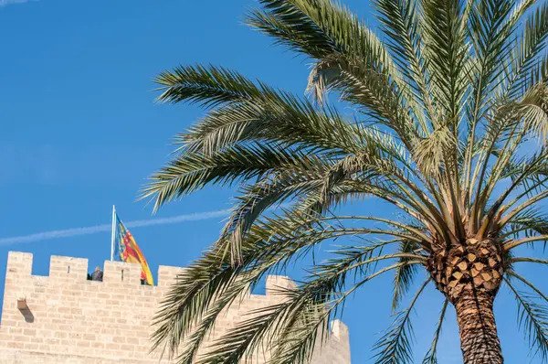 Ramas Palmera Contra Cielo Azul Junto Torre Medieval — Foto de Stock