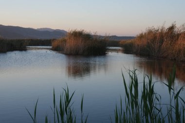Gün batımında göldeki sakin su manzarası uzak dağlarda