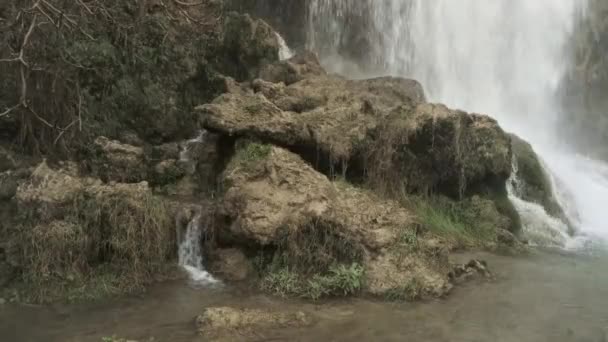 木の間に小さな川の滝があり — ストック動画