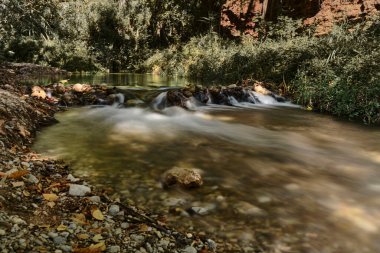 Ormanda küçük bir şelale.