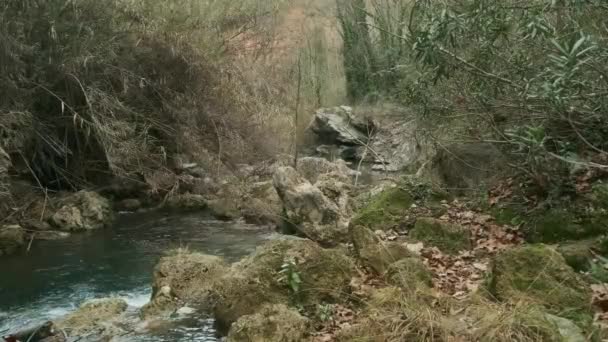 Ein kleiner Wasserfall zwischen den Bäumen — Stockvideo