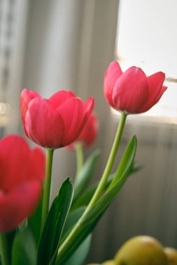 Vazodaki kırmızı laleler