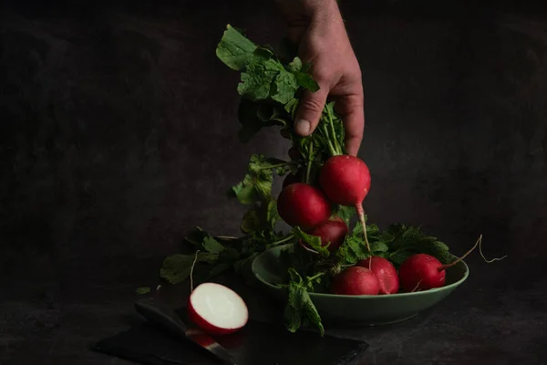 A mans hand holds a bunch of fresh radishes — Stock Photo, Image