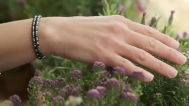 Bir kadının eli çiçeklerin arasından geçer.