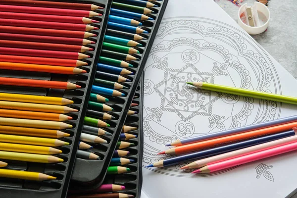 Helder gekleurde potloden op een grijze achtergrond — Stockfoto