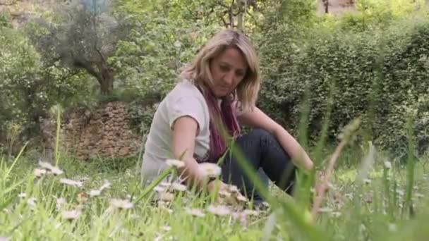Dziewczyna na polanie ze stokrotkami — Wideo stockowe