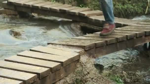 Ponte de madeira do outro lado do rio — Vídeo de Stock