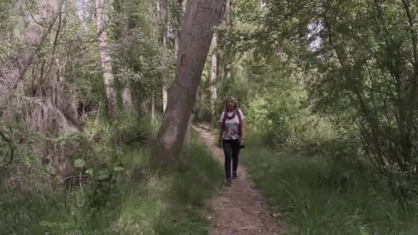 女の子が森の中を歩いていて — ストック動画