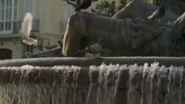 Şehir çeşmesi gün batımında