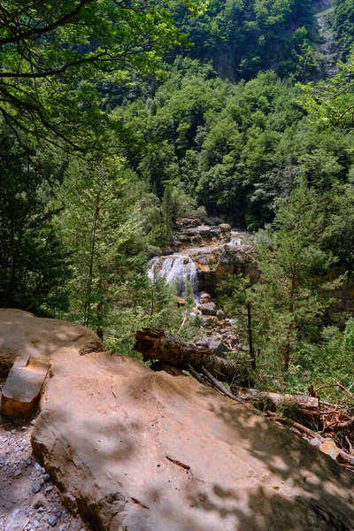 Hermosa cascada en el bosque — Foto de Stock