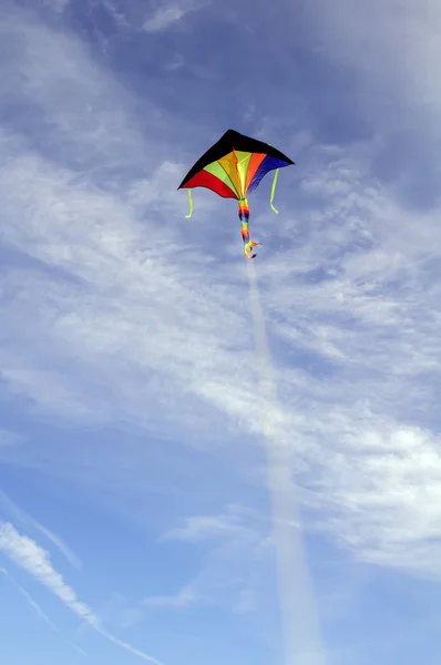 Buntes Drachenfliegen — Stockfoto