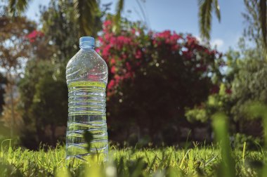 su şişesi çimenlerin üzerinde