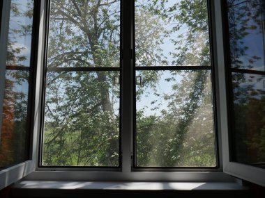 Pencereyi aç. Yaz. Pencerenin dışında, yapraklar ve ağaçlar. Güneşli bir gün. Soyutlama.