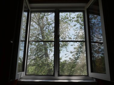 Pencereyi aç. Yaz. Pencerenin dışında, yapraklar ve ağaçlar. Güneşli bir gün. Soyutlama.