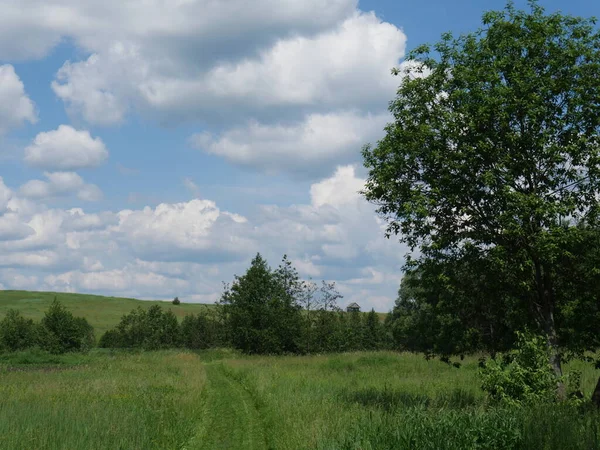 田園風景 青空と白い雲 晴れた日 草がたくさんある — ストック写真
