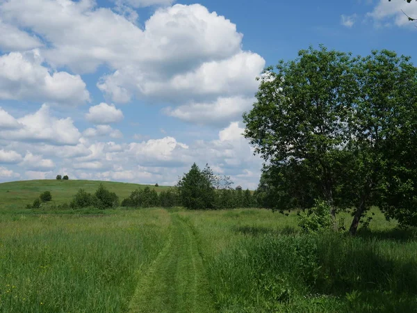 Сільський Пейзаж Синє Небо Білі Хмари Сонячний День Літо Багато — стокове фото