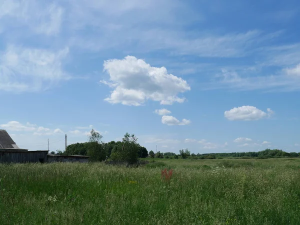 Venkovská Krajina Modrá Obloha Bílé Mraky Slunečný Den Summer Spousta — Stock fotografie