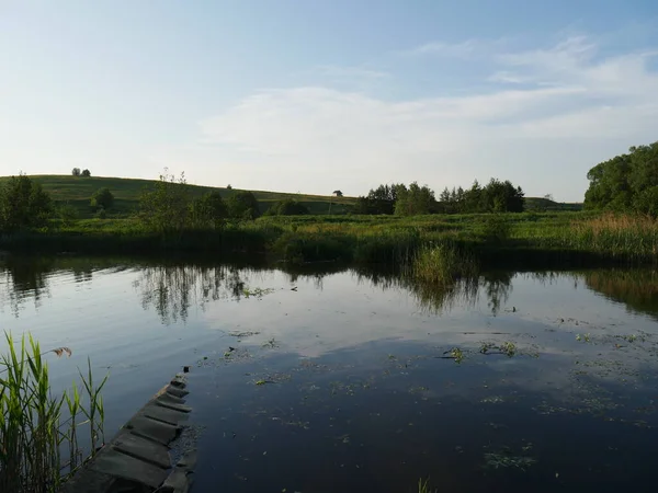 Summer Landscape River Lots Green Grass Summer — Stock Photo, Image