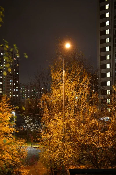 Nächtliche Stadtlandschaft Die Stadtbeleuchtung Ist Eingeschaltet Elektrische Lichtstrahlen Erhellen Die — Stockfoto