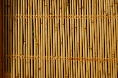 Bambu duvarı. Bambu dokusu. Sapları sıkıca dokunmuş..