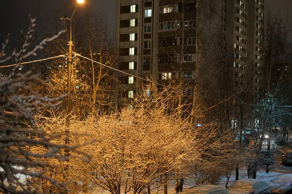 Primeira Neve Nevascas Boa Noite Dezembro Paisagem Urbana — Fotografia de Stock