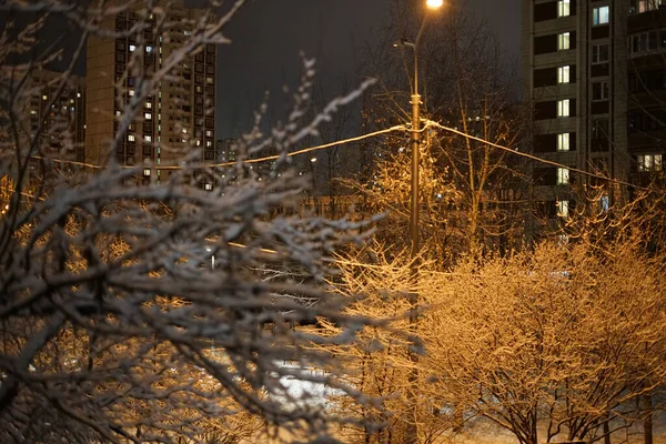 Primeira Neve Nevascas Boa Noite Dezembro Paisagem Urbana — Fotografia de Stock