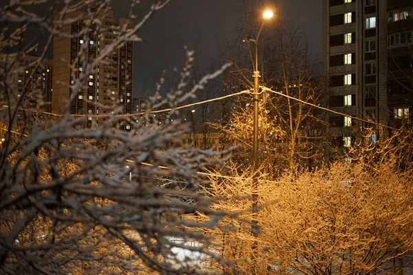Primeira Neve Nevascas Boa Noite Dezembro Paisagem Urbana — Fotografia de Stock