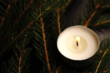 Köknar dallarının üzerinde yanan bir mum var. Karanlık arka plan. Loş ışıklar. Kapat