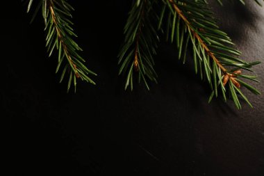 Siyah arka planda Noel ağacı dalları. Yaklaştın. Loş ışıklar.
